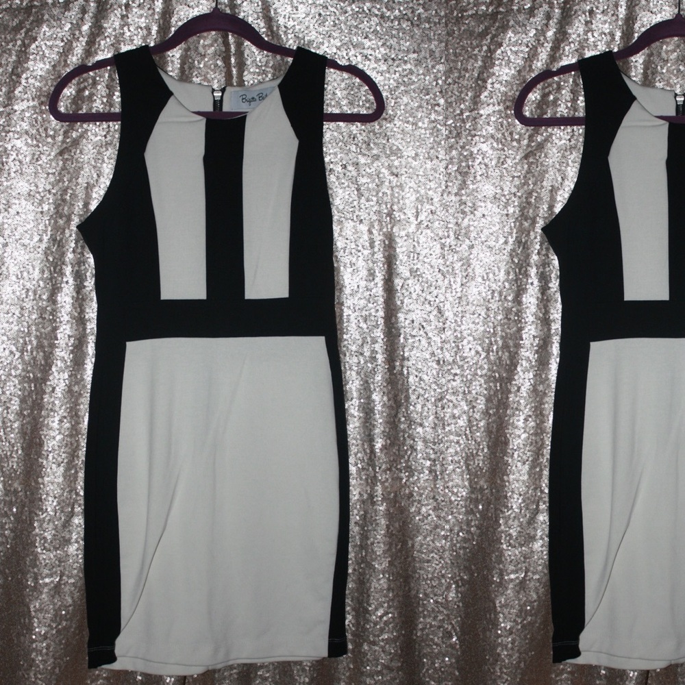 Brigitte Bailey Black & Cream Bodycon Dress